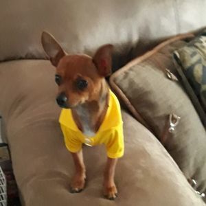 Meet your Posher, Annia